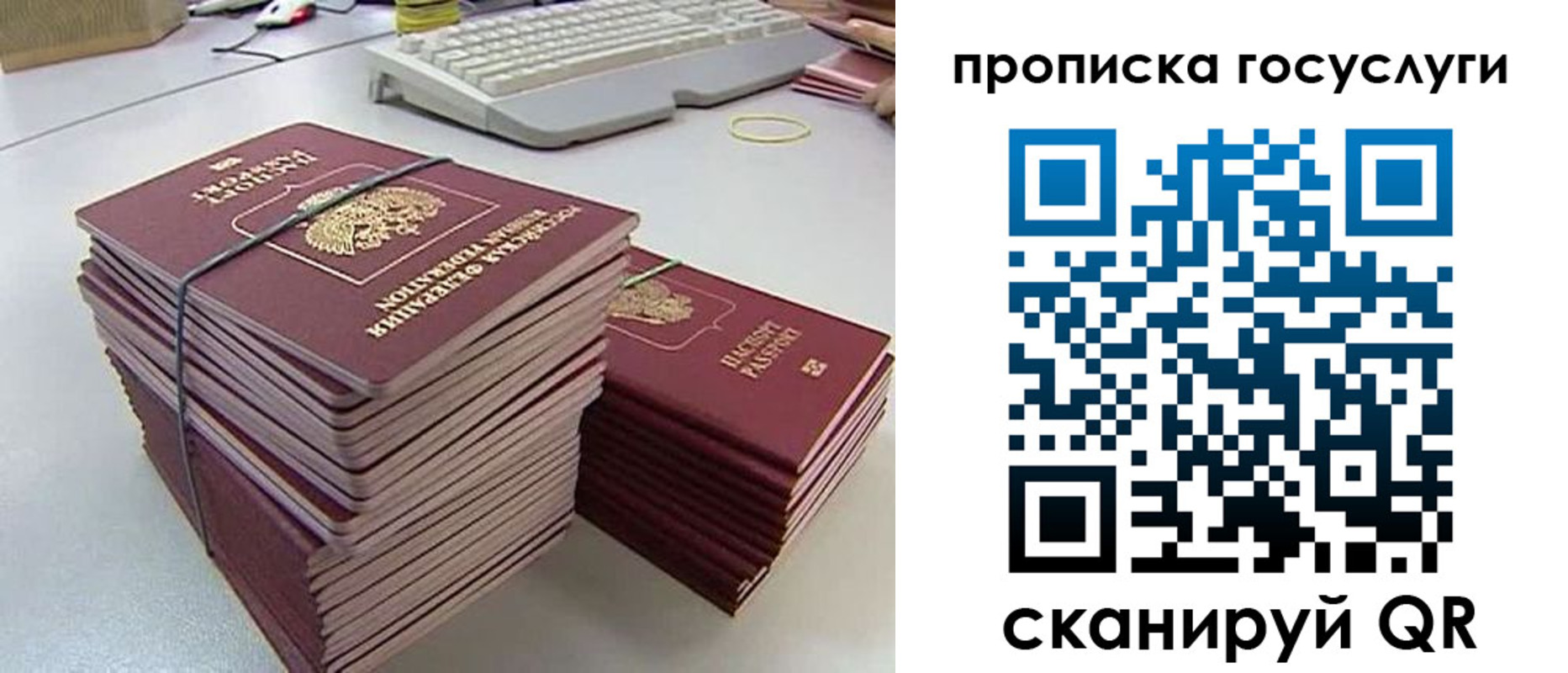 временная регистрация для школы в Льгове